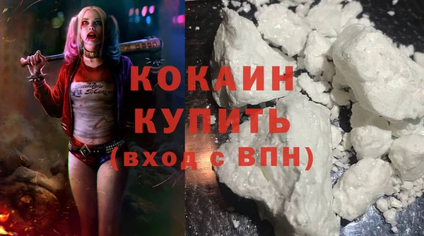 соль ск Алзамай