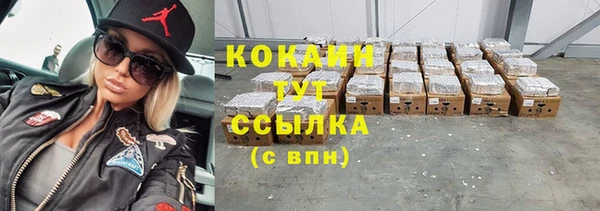 крисы Аркадак