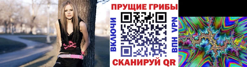 Галлюциногенные грибы мицелий  Советская Гавань 